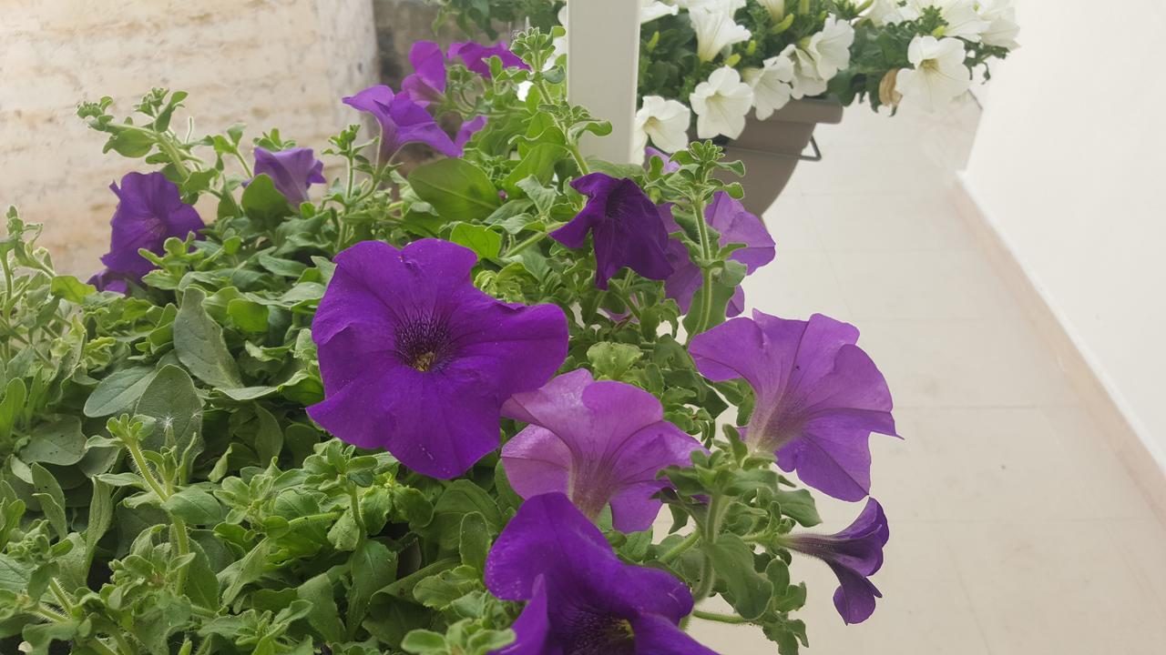 Matera Guest House Buitenkant foto
